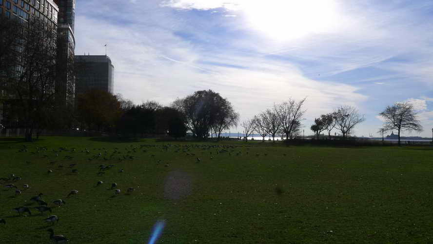 NYC_2017-11-25 14-13-22_P1140367